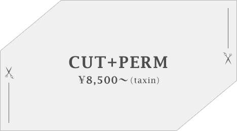 CUT+PERM ¥8,500（taxin）